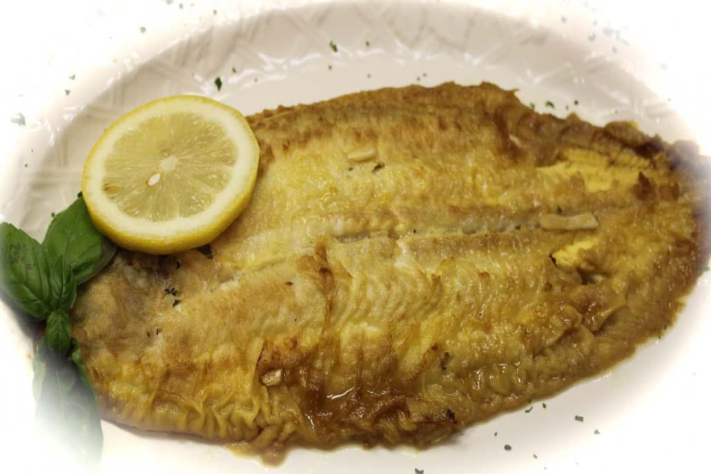 DOVER SOLE